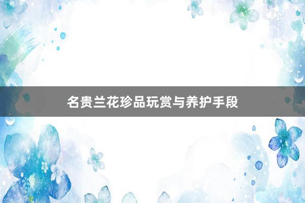 名贵兰花珍品玩赏与养护手段